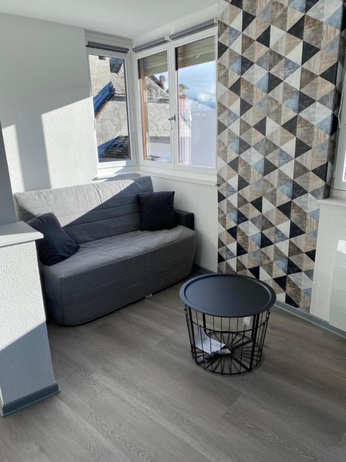 Residence Avec Un T3 Un T2 Et Un Studio En Centre Ville D Argelès-Gazost Kültér fotó