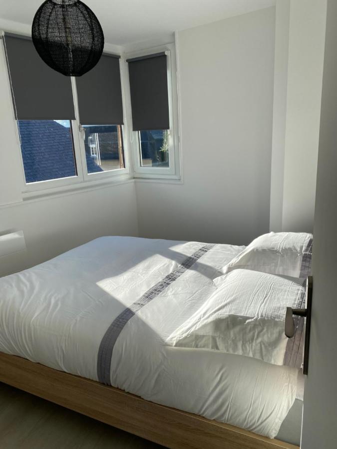 Residence Avec Un T3 Un T2 Et Un Studio En Centre Ville D Argelès-Gazost Kültér fotó