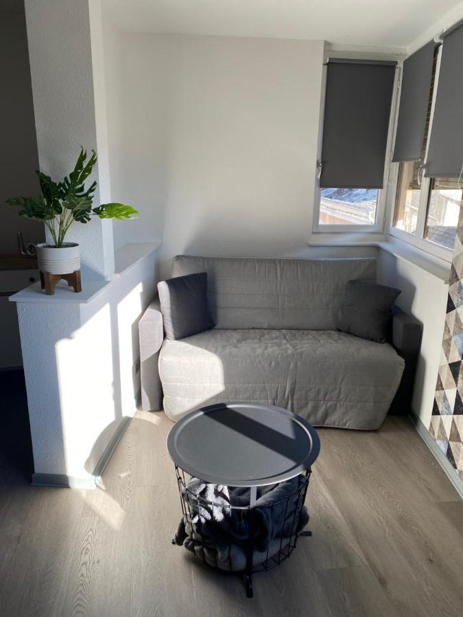 Residence Avec Un T3 Un T2 Et Un Studio En Centre Ville D Argelès-Gazost Kültér fotó